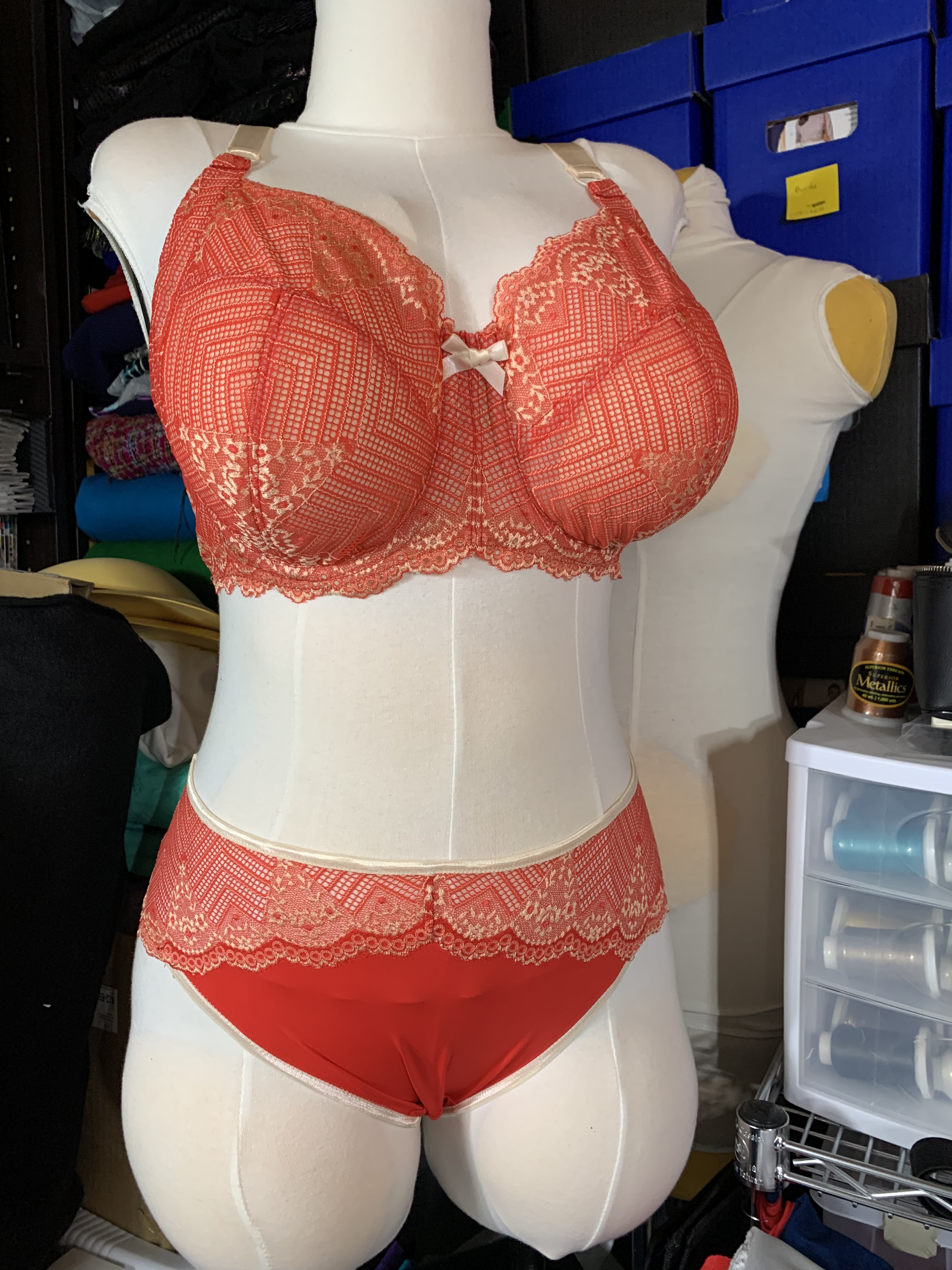 Twin-Cotton Cut & Sew Solid Cotton Bra Red